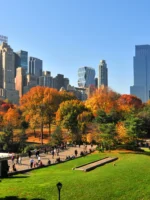 Autumn view of Central Park in New York City