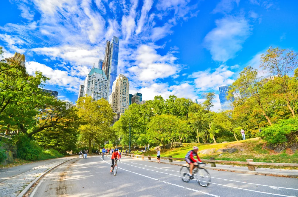 View of Central Park in a sunny day in New York City