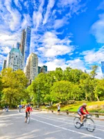 View of Central Park in a sunny day in New York City