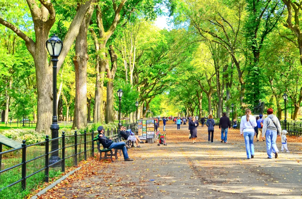 View of the Central Park with some vendors and people passing by