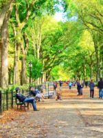 View of the Central Park with some vendors and people passing by