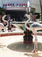 Flamingo Gardens during Mid-Strip Tour in Las Vegas