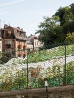 Le Clos Montmartre , the Vineyard of Montmartre created by the City of Paris in 1933 a Vineyard in the 18th arrondissement