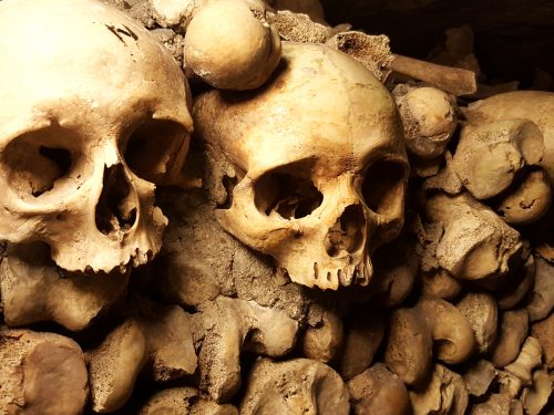 View of skulls in the Paris catacombs guided tour