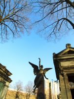 Montparnasse Cemetery on clear winter day