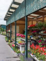 Flower stall along Seine river in Notre Dame Tour in Paris