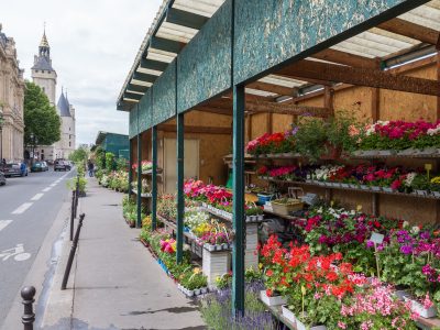 Flower stall along Seine river in Notre Dame Tour in Paris