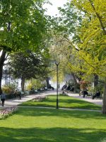 People relaxing at the Place Dauphine, Paris, Île-de-France, France