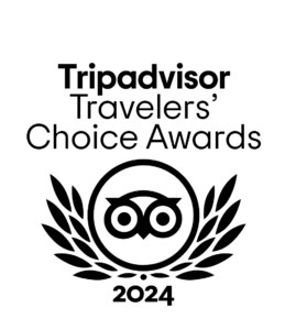 Tripadvisor travelers' choice award