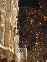 Close up of holiday decorations during private Paris guided tour