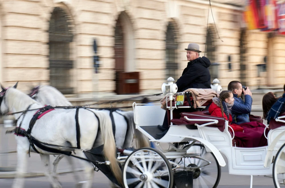 Guests taking photo on horse and carriage during private Paris guided tour