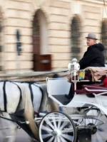Guests taking photo on horse and carriage during private Paris guided tour
