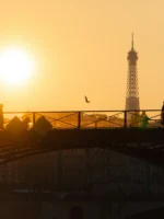 Silhouette of people near the River Seine during sunset