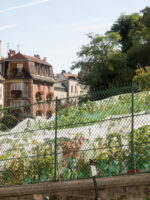 The Vineyard of Montmartre