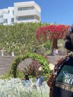 Getty to Griffith Tour