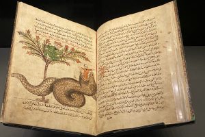 Getty to Griffith Tour