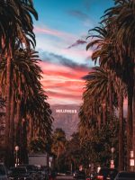 Getty to Griffith Tour