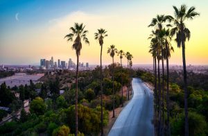 Getty to Griffith Tour