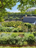 High angle shot of Getty Museum maze garden during Getty Center Guided Tour in LA