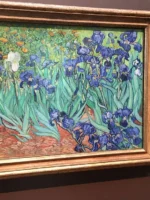 Irises on display at J. Paul Getty Museum in Los Angeles, California