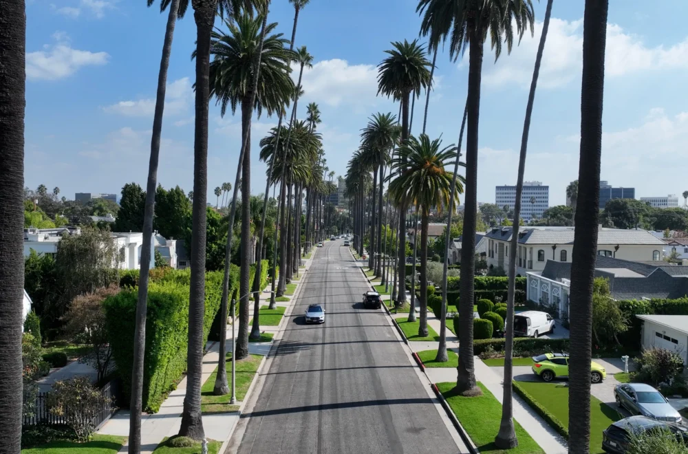 Carmelita Drive At Beverly Hills In Los Angeles