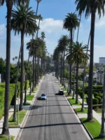 Carmelita Drive At Beverly Hills In Los Angeles