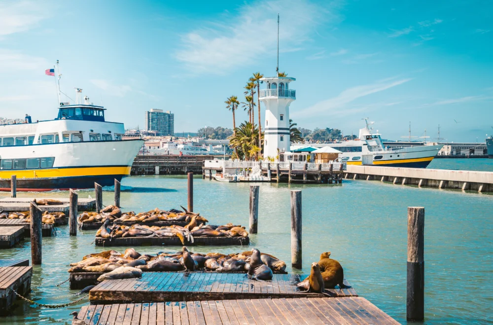 Pier and boats seen on North Beach Walking Tour of Fisherman's Wharf
