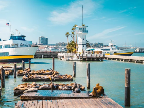 Pier and boats seen on North Beach Walking Tour of Fisherman's Wharf