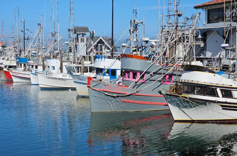View of boats docked at Fishermans Wharf