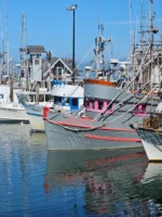 View of boats docked at Fishermans Wharf