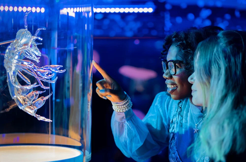 California Academy of Sciences visitors looking at specimen