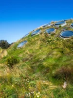 Living Roof on VIP tour of the California Academy of Sciences