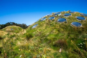Living Roof on VIP tour of the California Academy of Sciences