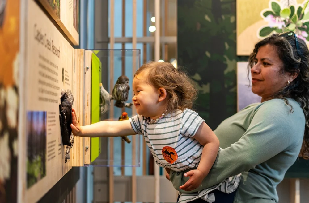 Mom and child enjoying the exhibits at the California Academy of Sciences