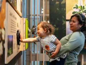 Mom and child enjoying the exhibits at the California Academy of Sciences