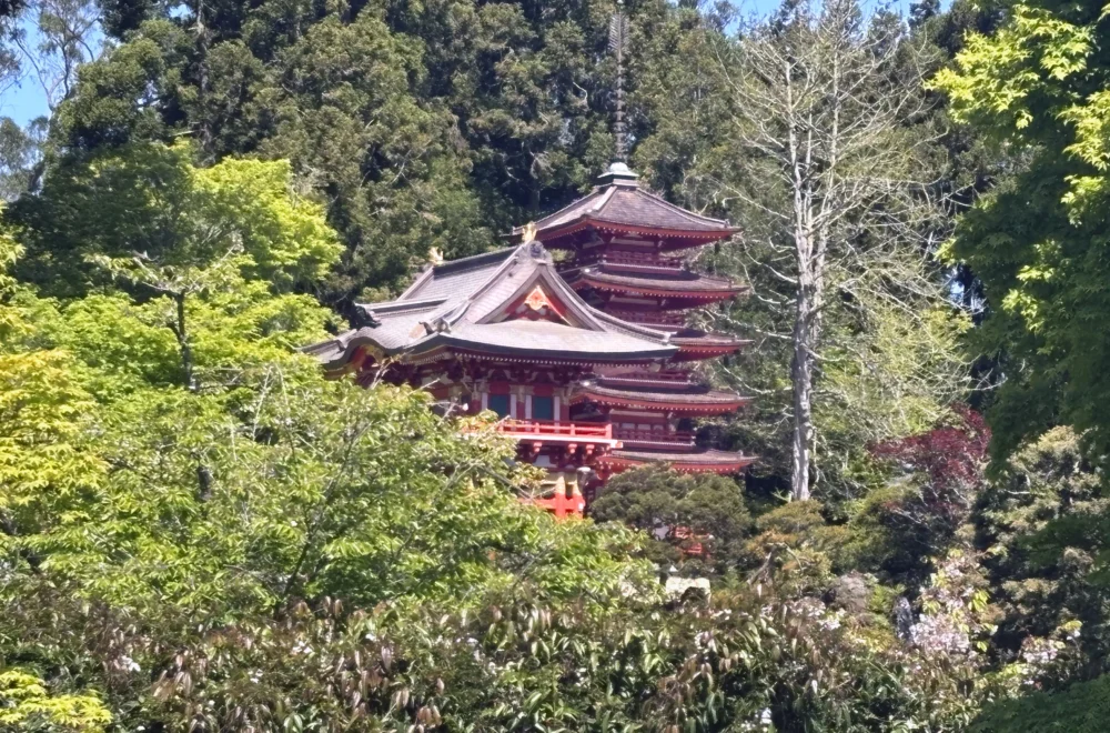 Pagoda in the Japanese Tea Garden seen on Golden Gate Park walking tour