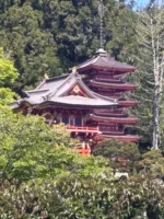 Pagoda in the Japanese Tea Garden seen on Golden Gate Park walking tour