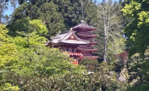Pagoda in the Japanese Tea Garden seen on Golden Gate Park walking tour