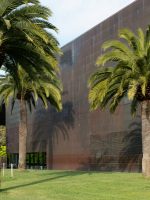 Palm trees outside the De Young Museum in Golden Gate Park