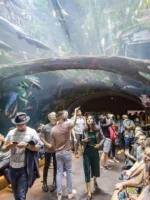 People walking through aquarium in California Academy of Science