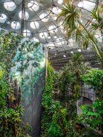 Rainforest at California of Arts and Science