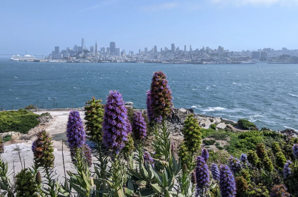 View of San Francisco cityscape from Alcatraz Island