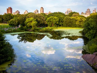 Central Park with lake in foreground and skyline in background