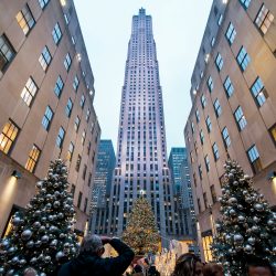 Christmas Trees in Rockefeller Center