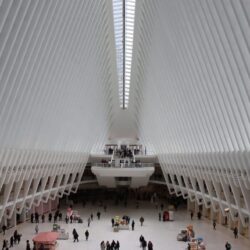 Scenic-Shot-of-Museum-1000×660