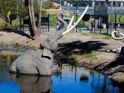 La Brea Tar Pits in LA