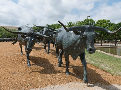 Bronze Bulls in Downtown Dallas at Pioneer Plaza