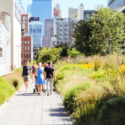 the high line park