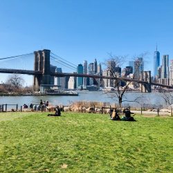 Brooklyn Bridge Park