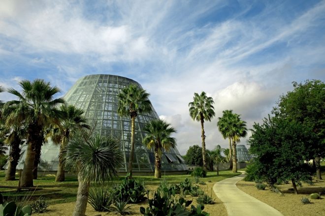 What To See When You Visit the San Antonio Botanical Garden – Blog